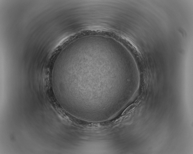X0000112770968200908271638