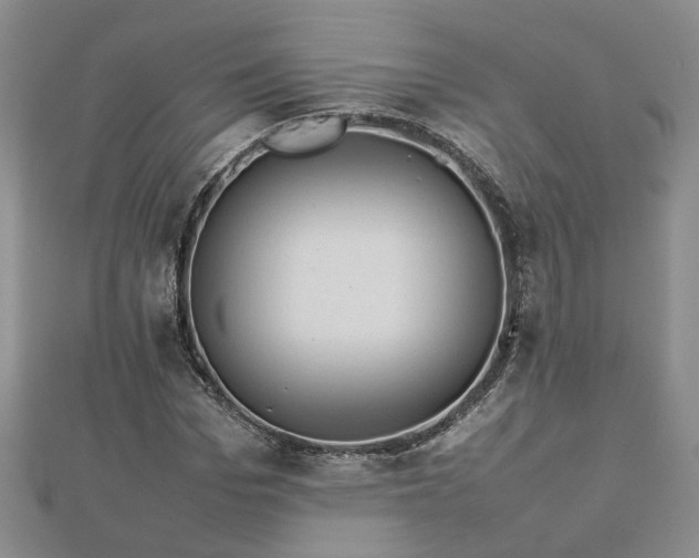 X0000112770969200908271638