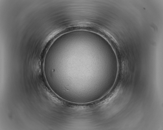 X0000112770970200908271638