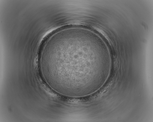 X0000112770971200908271638
