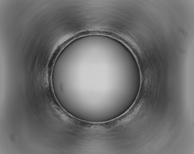 X0000112770974200908271637