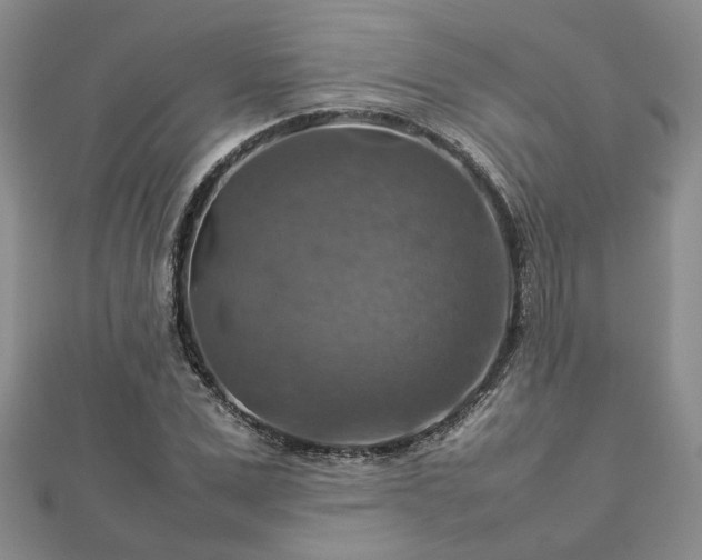 X0000112770975200908271637