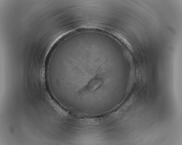 X0000112770976200908271637