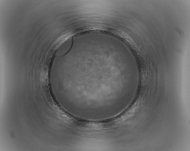 X0000112770977200908271637