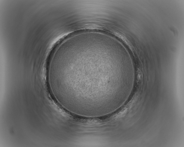 X0000112770979200908271637