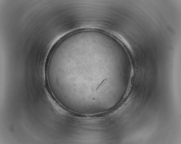 X0000112770980200908271637