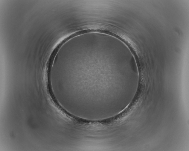 X0000112770983200908271637