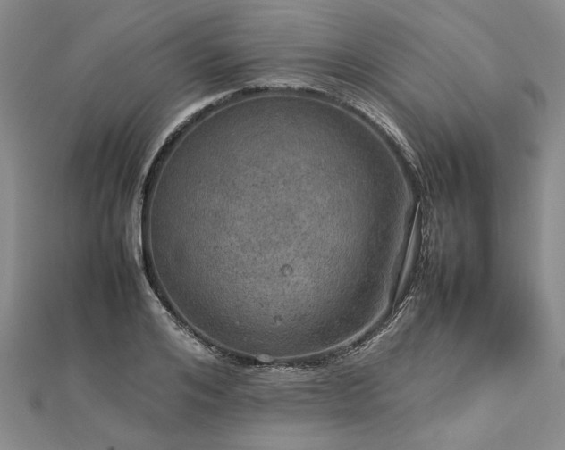 X0000112770984200908271637