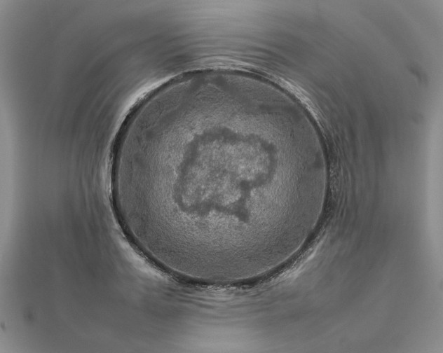 X0000112770987200908271637