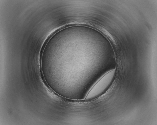 X0000112770988200908271637