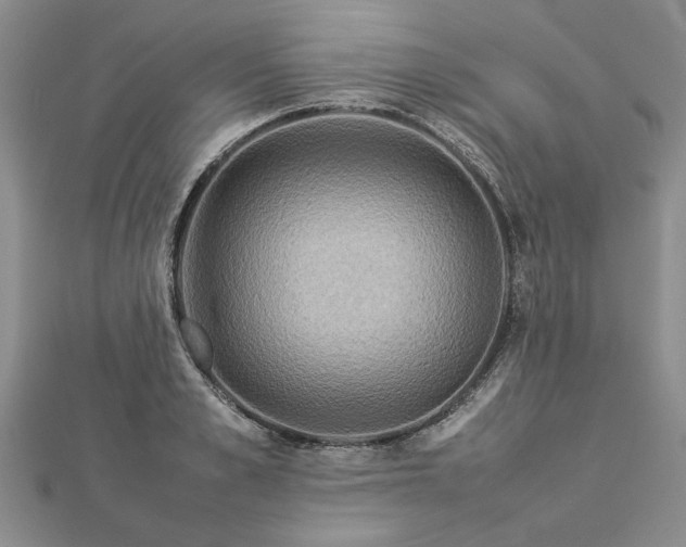 X0000112770989200908271637