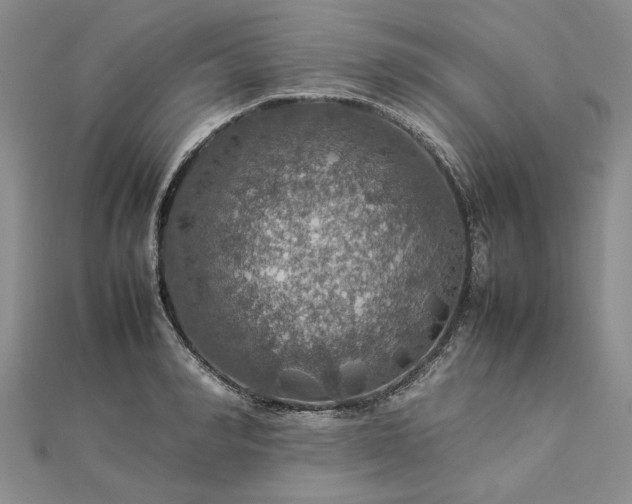 X0000112770990200908271637