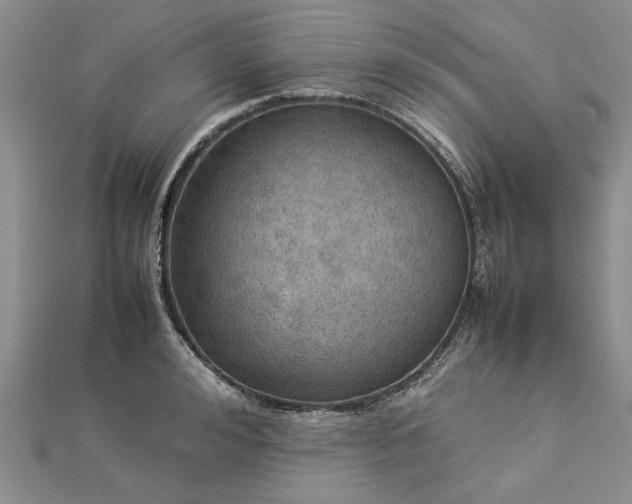 X0000112770992200908271637