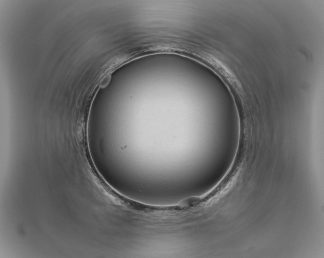 X0000112770993200908271637
