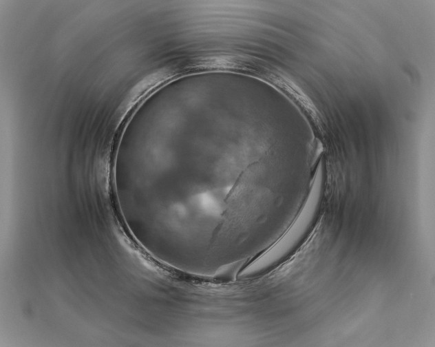 X0000112770994200908271637