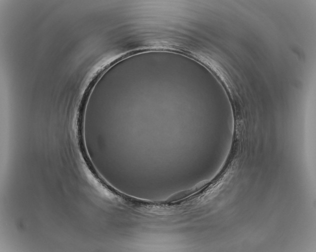 X0000112770995200908271637