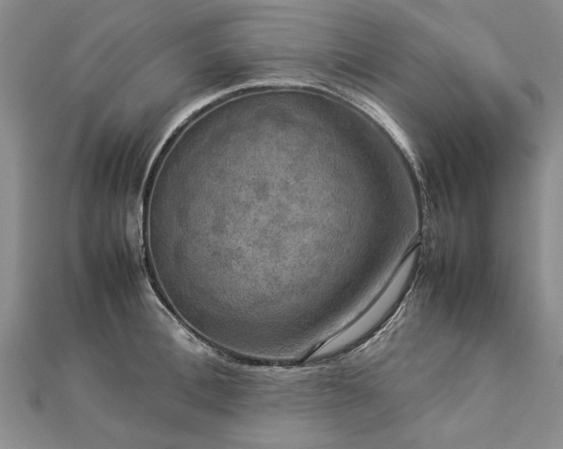 X0000112770996200908271637