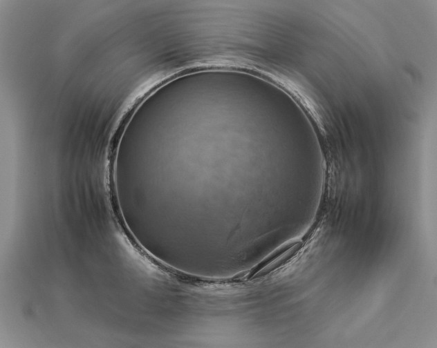 X0000112770998200908271637
