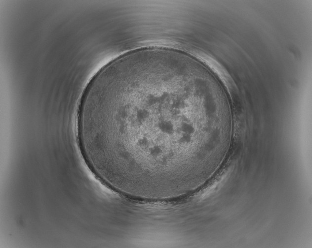 X0000112770999200908271637