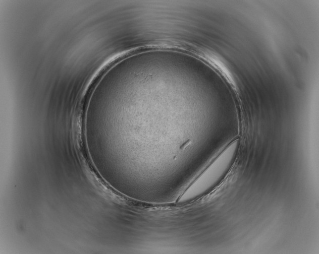 X0000112771000200908271637