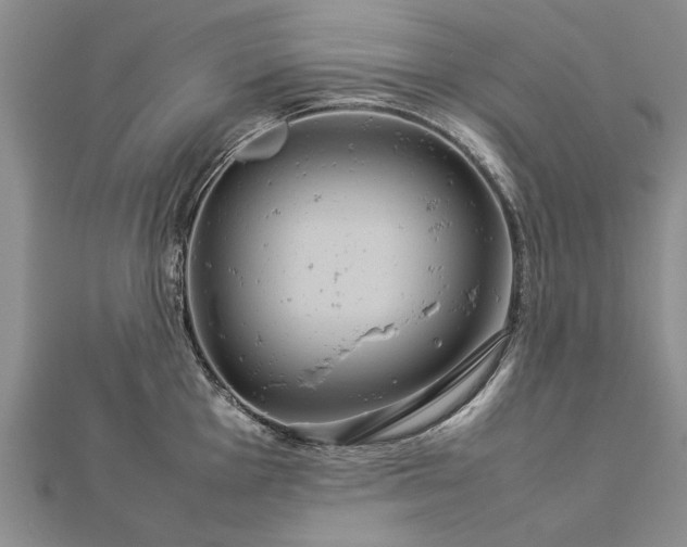X0000112771001200908271637
