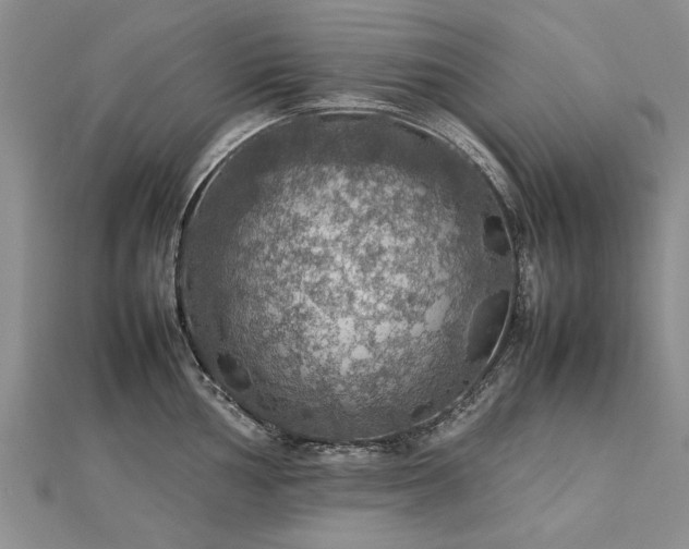X0000112771002200908271637
