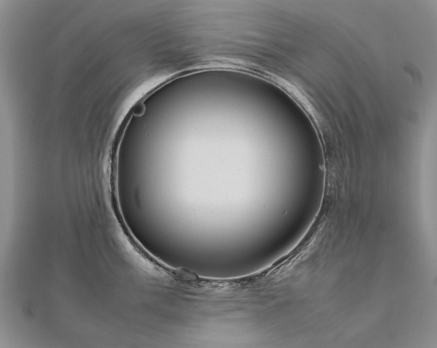 X0000112771003200908271637