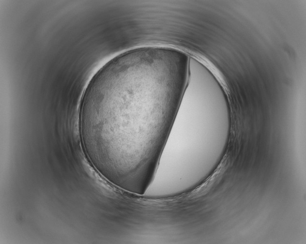 X0000112771004200908271637