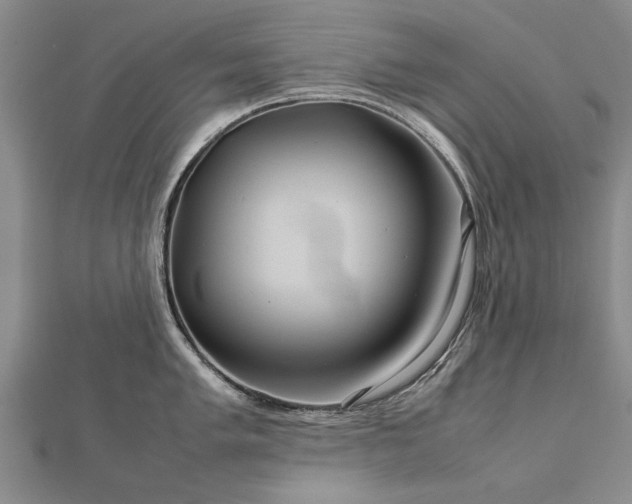 X0000112771005200908271637