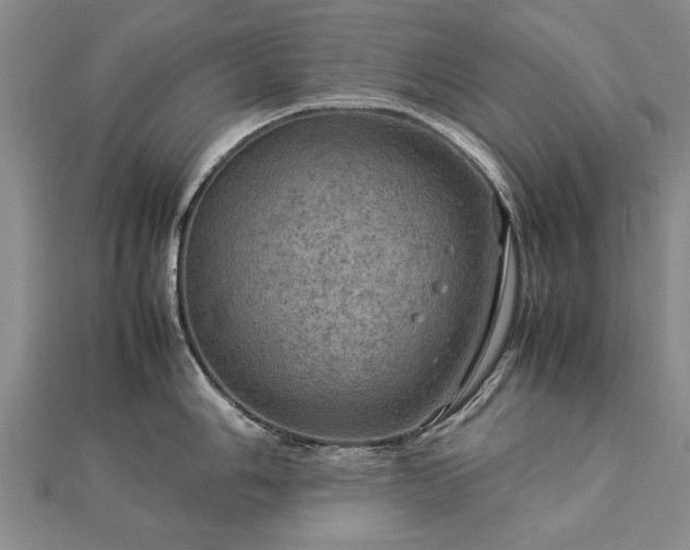 X0000112771006200908271637