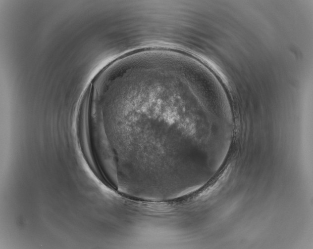 X0000112771007200908271637