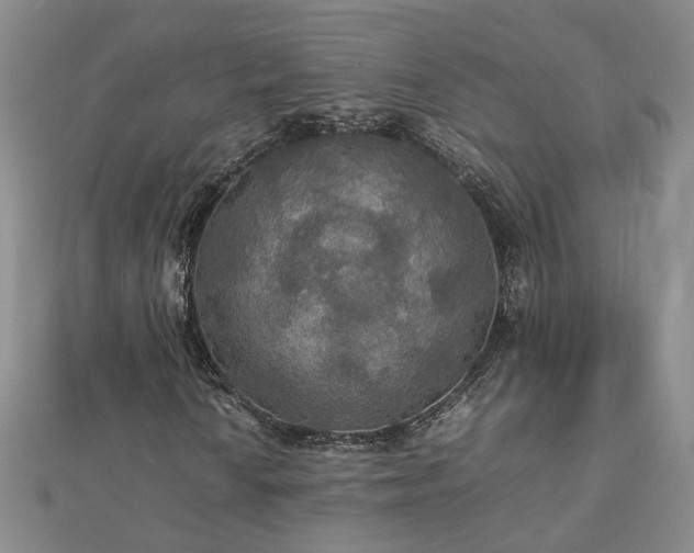 X0000112771010200908271636
