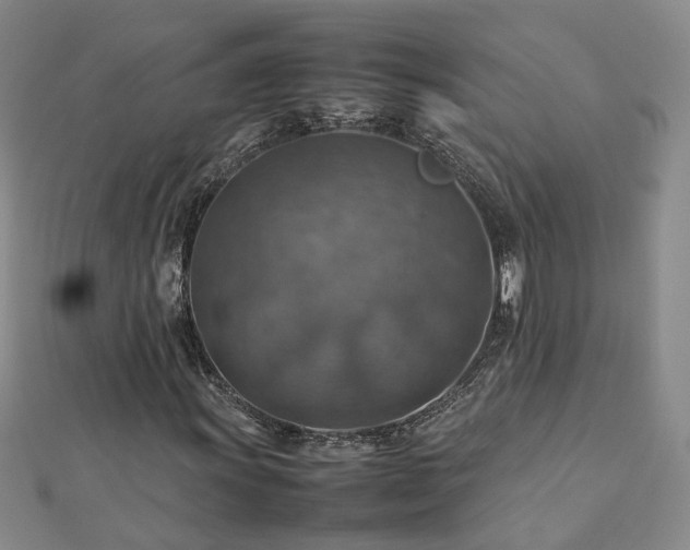 X0000112771011200908271636