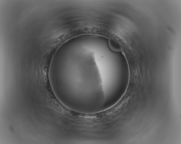 X0000112771013200908271636