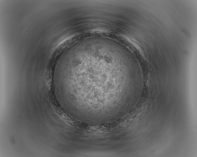X0000112771015200908271637