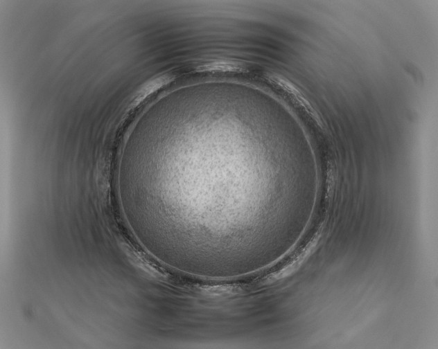 X0000112771017200908271637