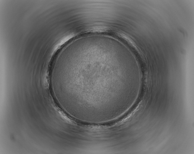 X0000112771018200908271637