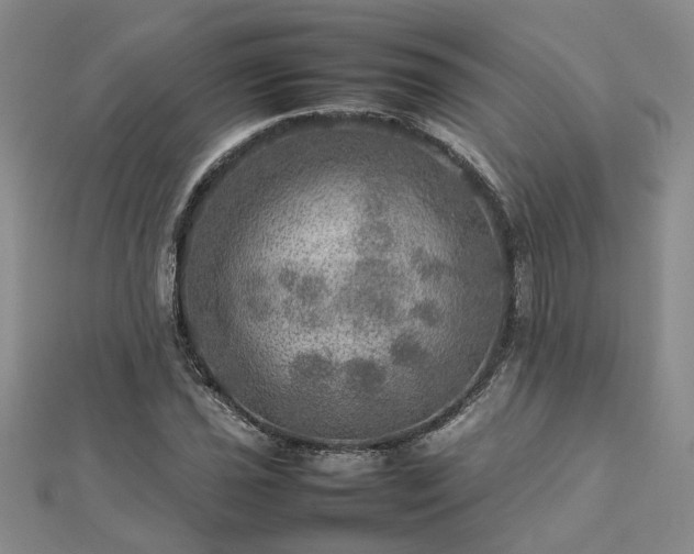 X0000112771021200908271637