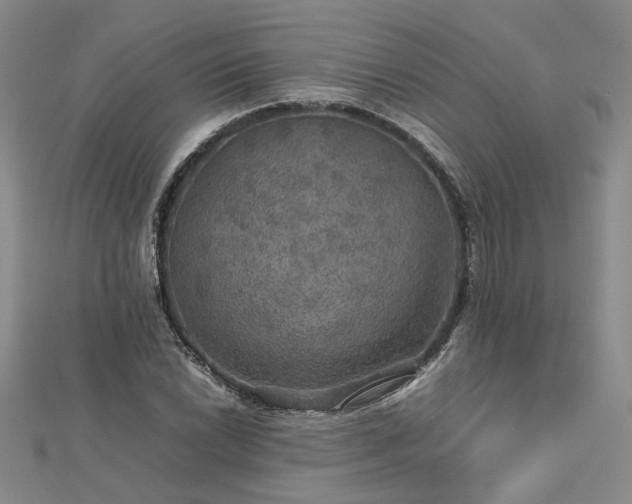 X0000112771022200908271637