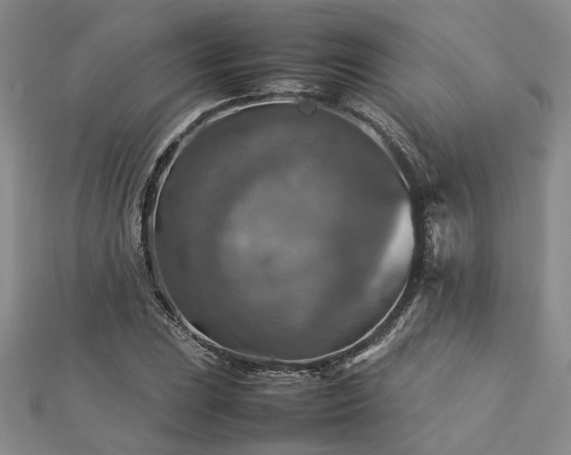 X0000112771023200908271637