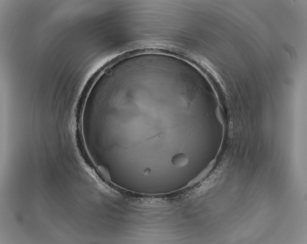 X0000112771024200908271637