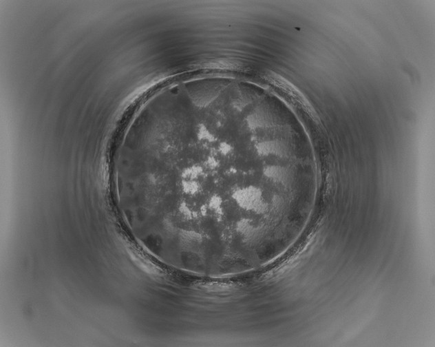X0000112771027200908271637