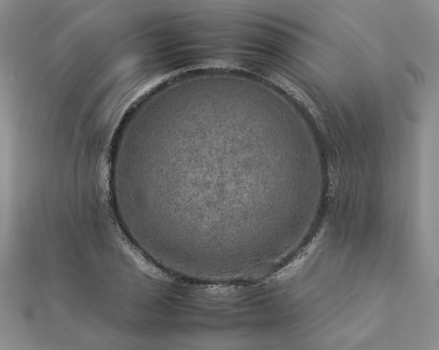 X0000112771029200908271637