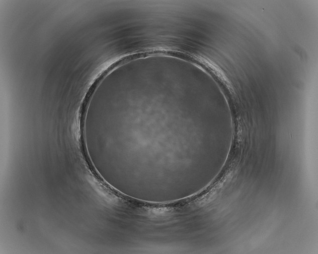 X0000112771031200908271637
