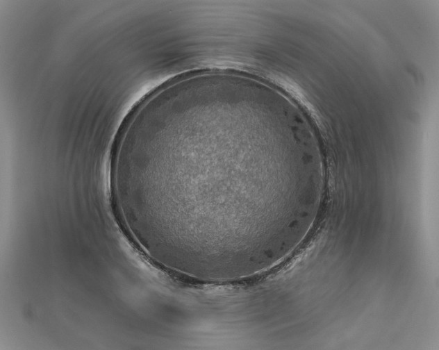 X0000112771032200908271637