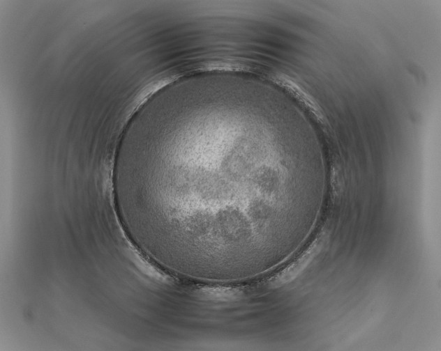 X0000112771033200908271637