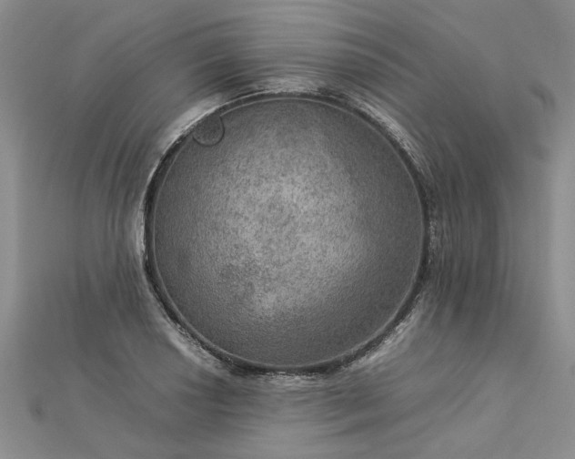 X0000112771034200908271637