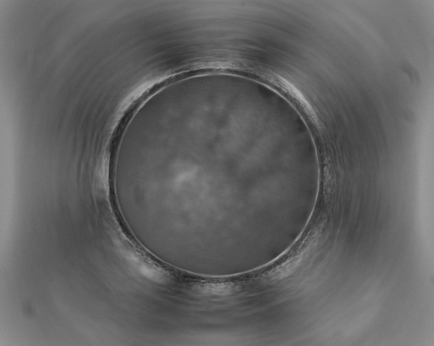 X0000112771035200908271637
