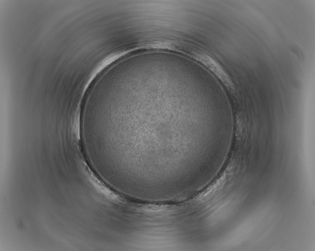 X0000112771036200908271637