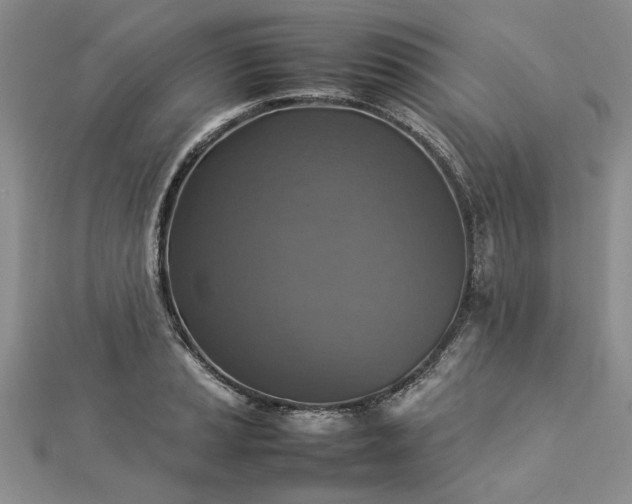X0000112771037200908271637